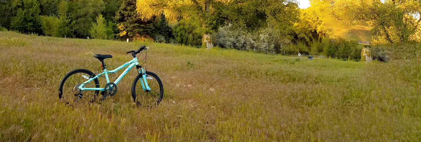 TANNUS TIRES - SPECIALTY / KIDS - Tannus